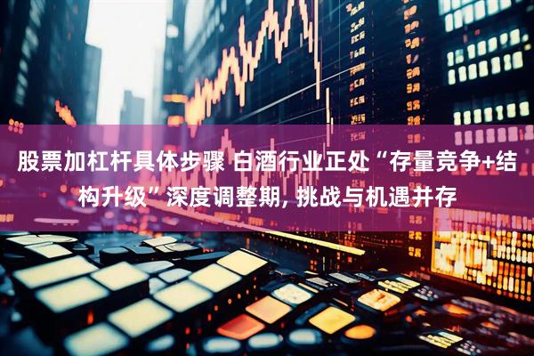 股票加杠杆具体步骤 白酒行业正处“存量竞争+结构升级”深度调整期, 挑战与机遇并存