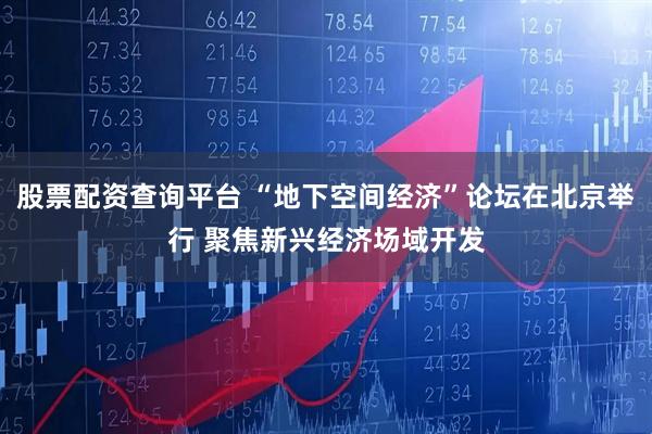 股票配资查询平台 “地下空间经济”论坛在北京举行 聚焦新兴经济场域开发