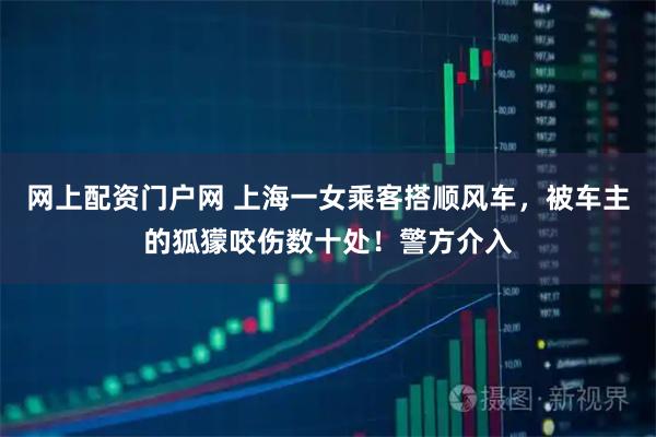 网上配资门户网 上海一女乘客搭顺风车，被车主的狐獴咬伤数十处！警方介入